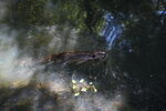 DSC_6937.JPG